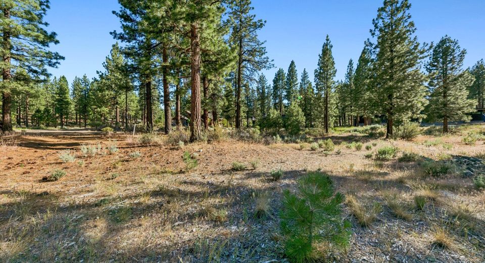238 Redding Way, Carson City, NV 89705 Photo