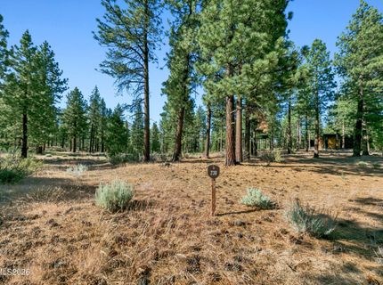 238 Redding Way, Carson City, NV 89705 Photo