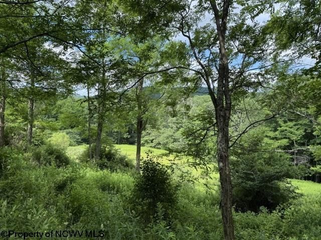 Lot 36,38,49 Hawthorne Valley Drive, Slatyfork, WV 26291 Main Photo
