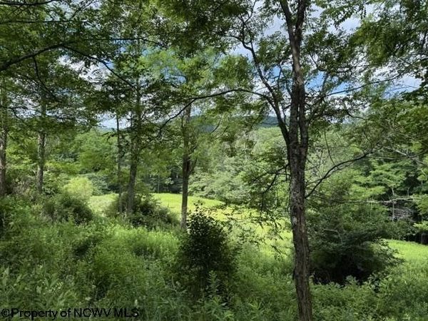 Lot 36,38,49 Hawthorne Valley Drive, Slaty Fork, WV 26291