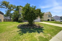 1009 Golden Aspen Drive photo 4