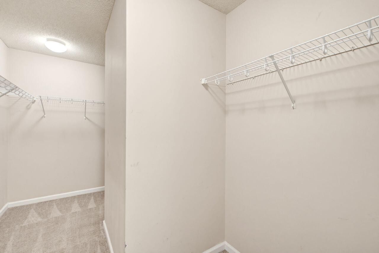 1009 Golden Aspen Drive Photo 33