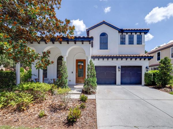 20302 CHESTNUT GROVE DRIVE , TAMPA, FL 33647