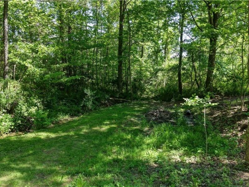 557 Beans Road SE, Sherrodsville, OH 44675 Photo 45