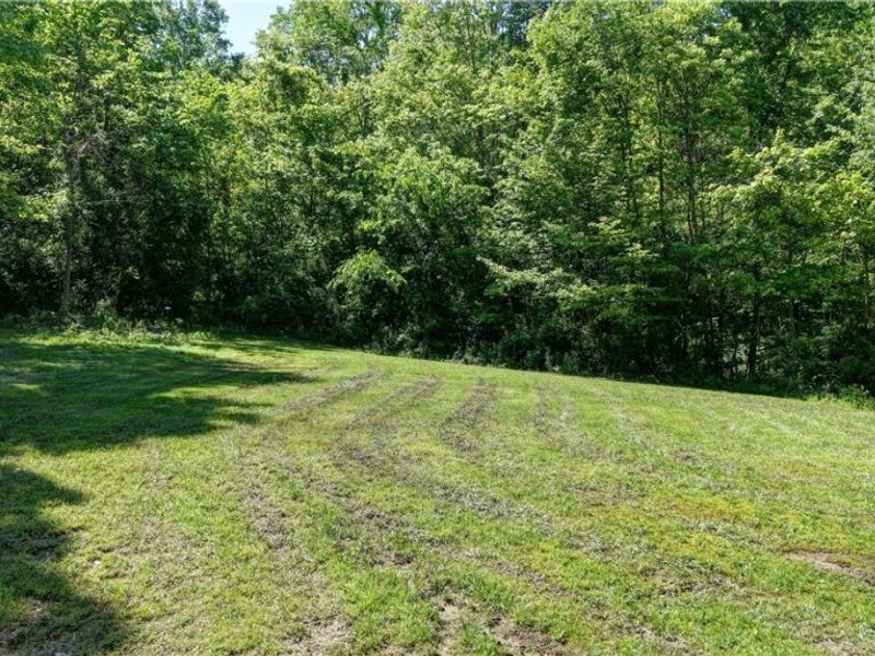 557 Beans Road SE, Sherrodsville, OH 44675 Photo 48