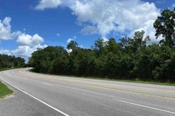 Tbd Highway 378  photo 4