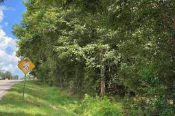 Tbd Highway 378  photo 4