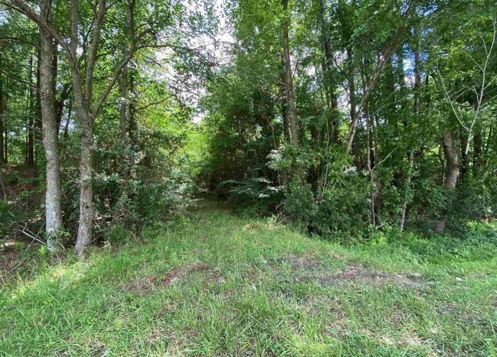 Tbd Highway 378  Photo 6