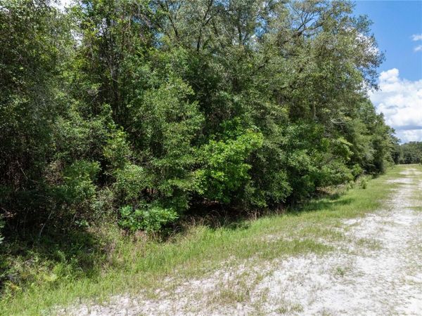 Lot 53 SW ROANOKE TERRACE , FORT WHITE, FL 32038