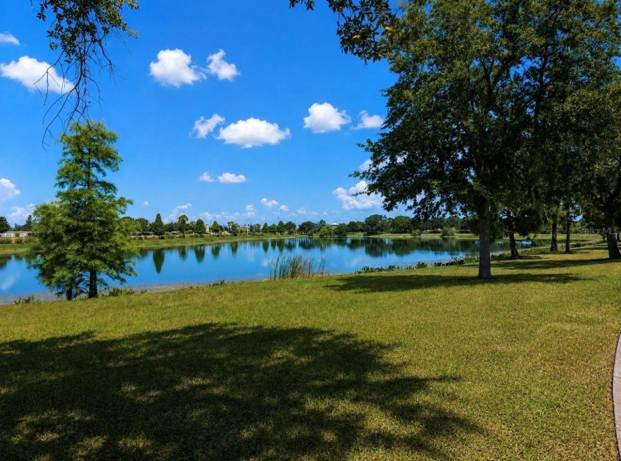 12020 Streambed Drive , Riverview, FL 33579 Photo