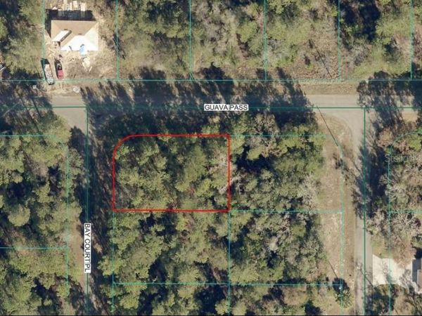 00 GUAVA PASS , OCKLAWAHA, FL 32179