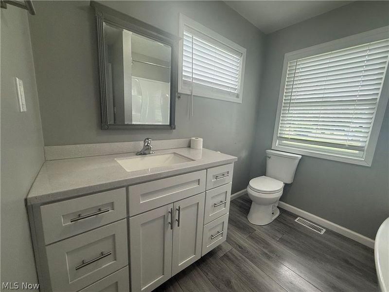 419 Dickson Street, Wellington, OH 44090 Photo 16