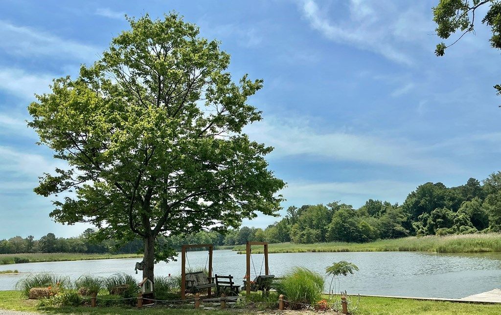 1691 Shore Lane, Callao, VA 22511 Main Photo