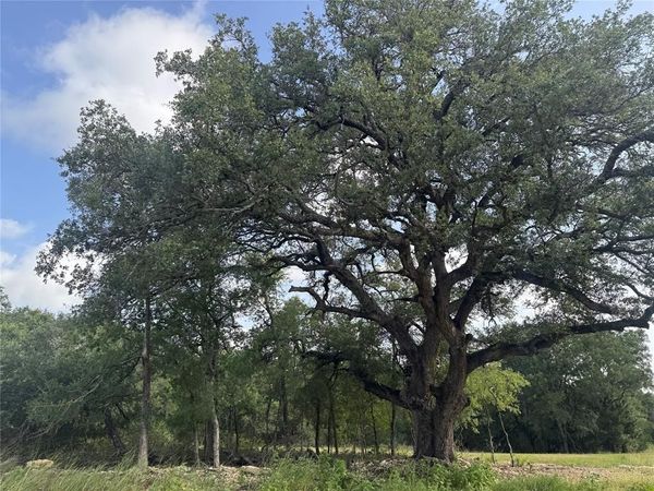 318 Whitetail Drive , Waco, TX 76712