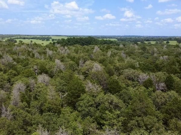 TBD County Road 337, Lexington, TX 78947