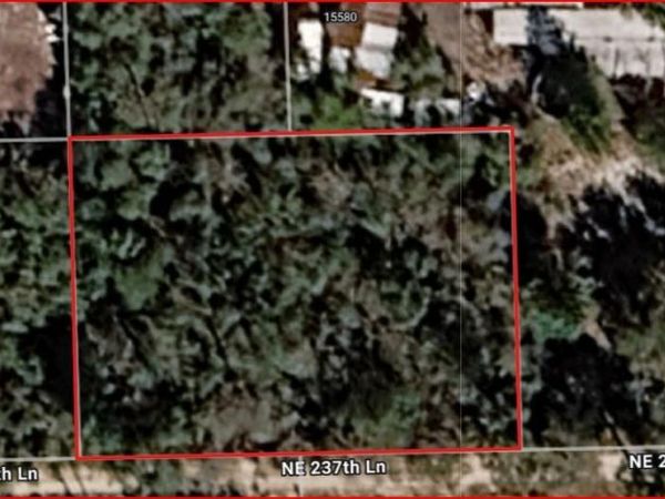 Lot 5 & 6 NE 237TH LANE , FORT MC COY, FL 32134