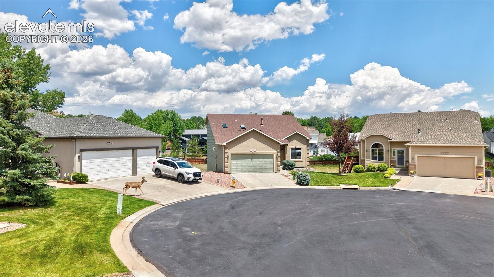 6240 Viewfield Heights, Colorado Springs, CO 80919 Main Photo
