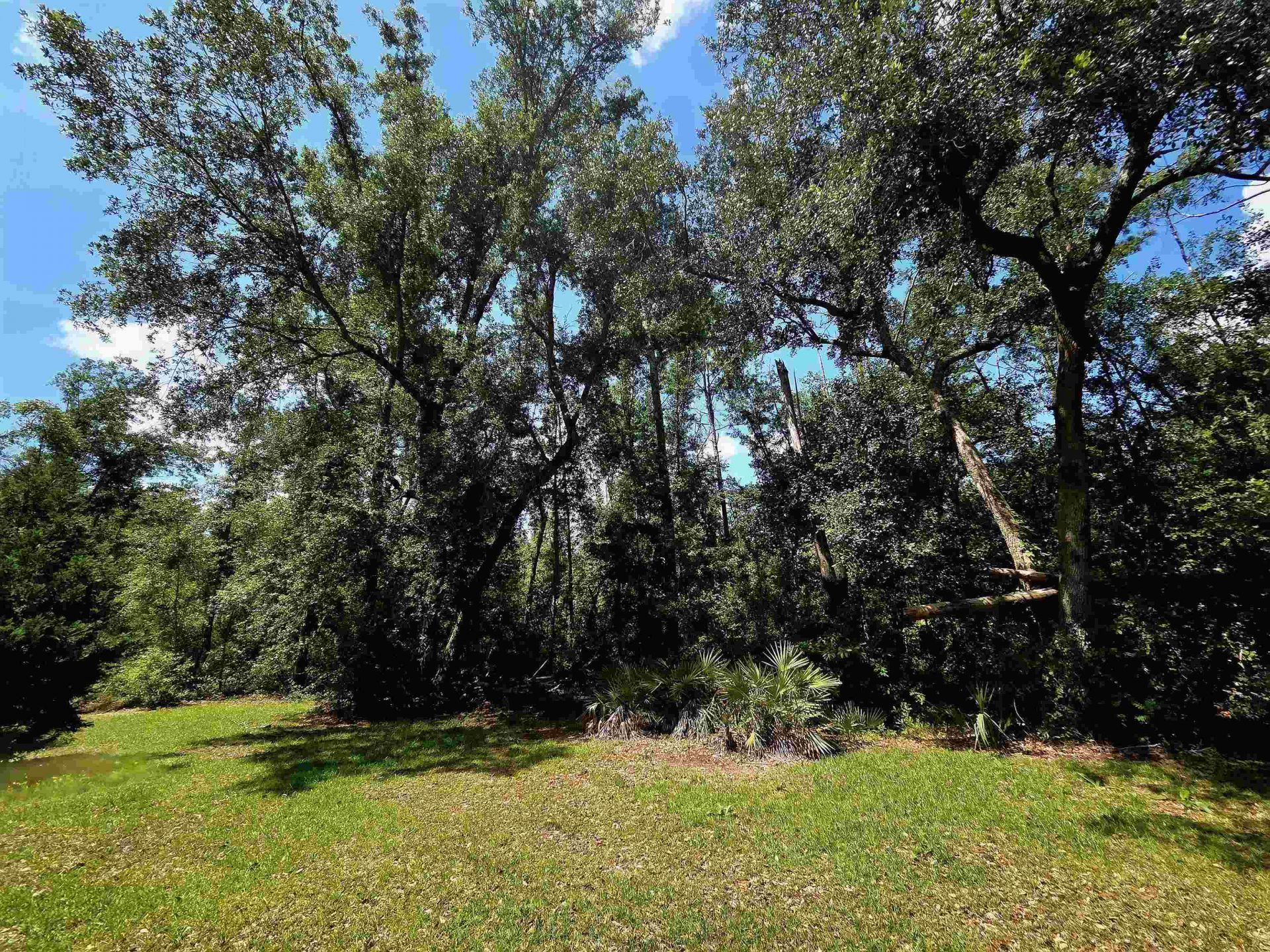 3445 Arrowhead Lane , Perry, FL 32347 Photo