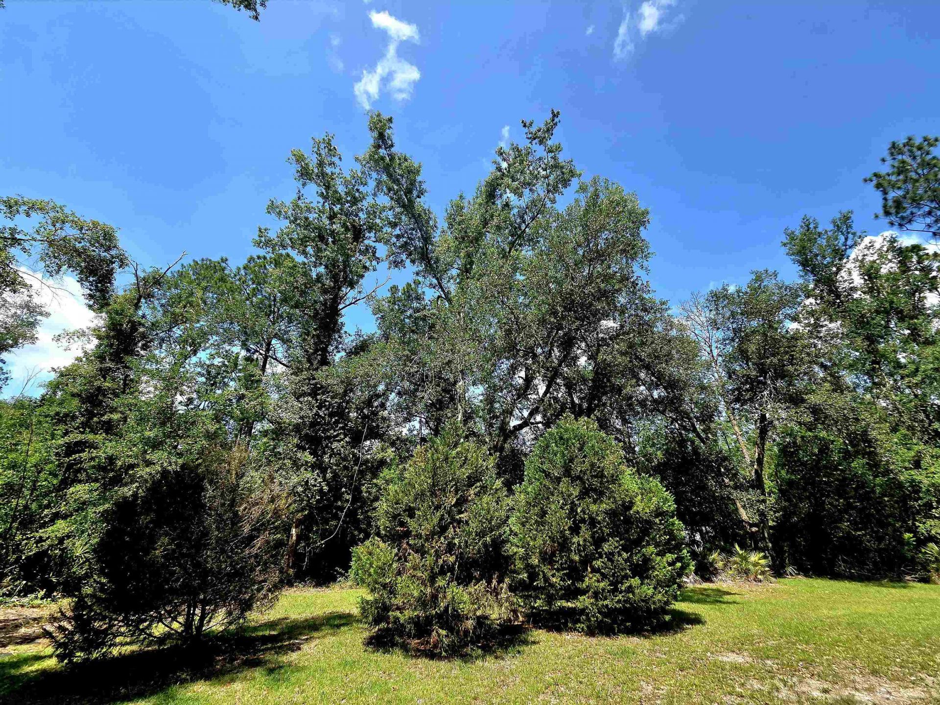 3445 Arrowhead Lane , Perry, FL 32347 Photo