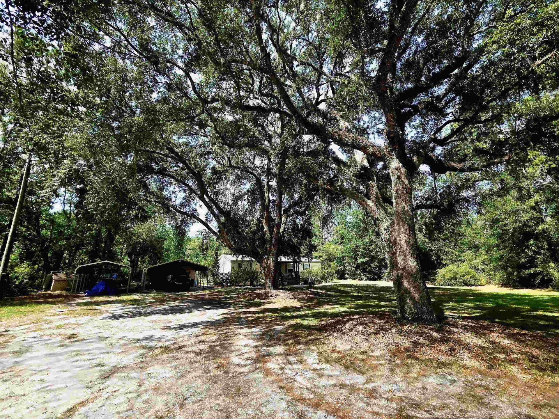 3445 Arrowhead Lane , Perry, FL 32347 Photo