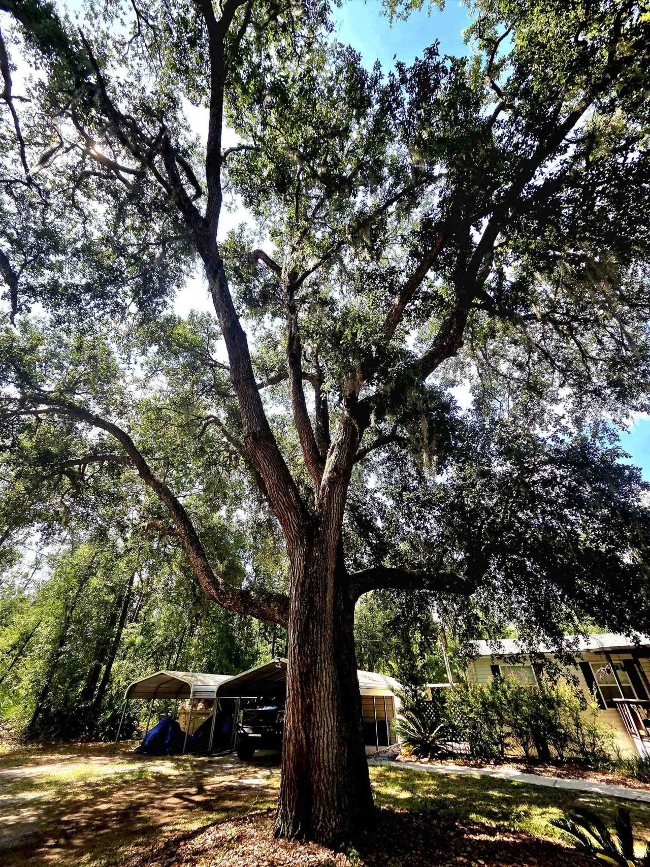 3445 Arrowhead Lane , Perry, FL 32347 Photo