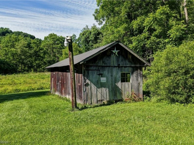37080 Township Road 68a, Dresden, OH 43821 Photo 18