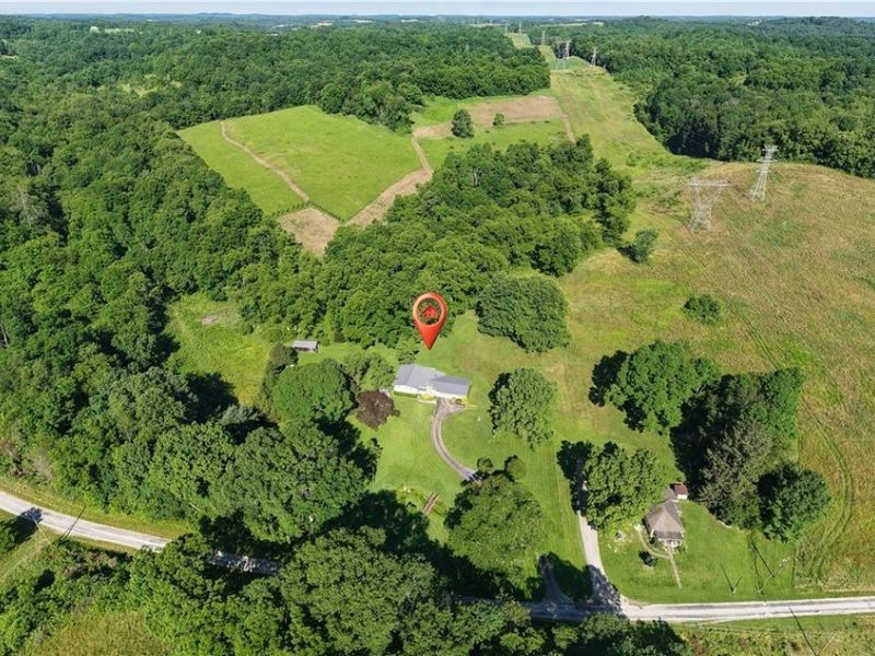 37080 Township Road 68a, Dresden, OH 43821 Photo 8