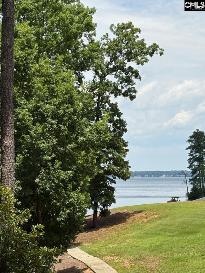 105 Palmetto Cove Lane  Photo 6
