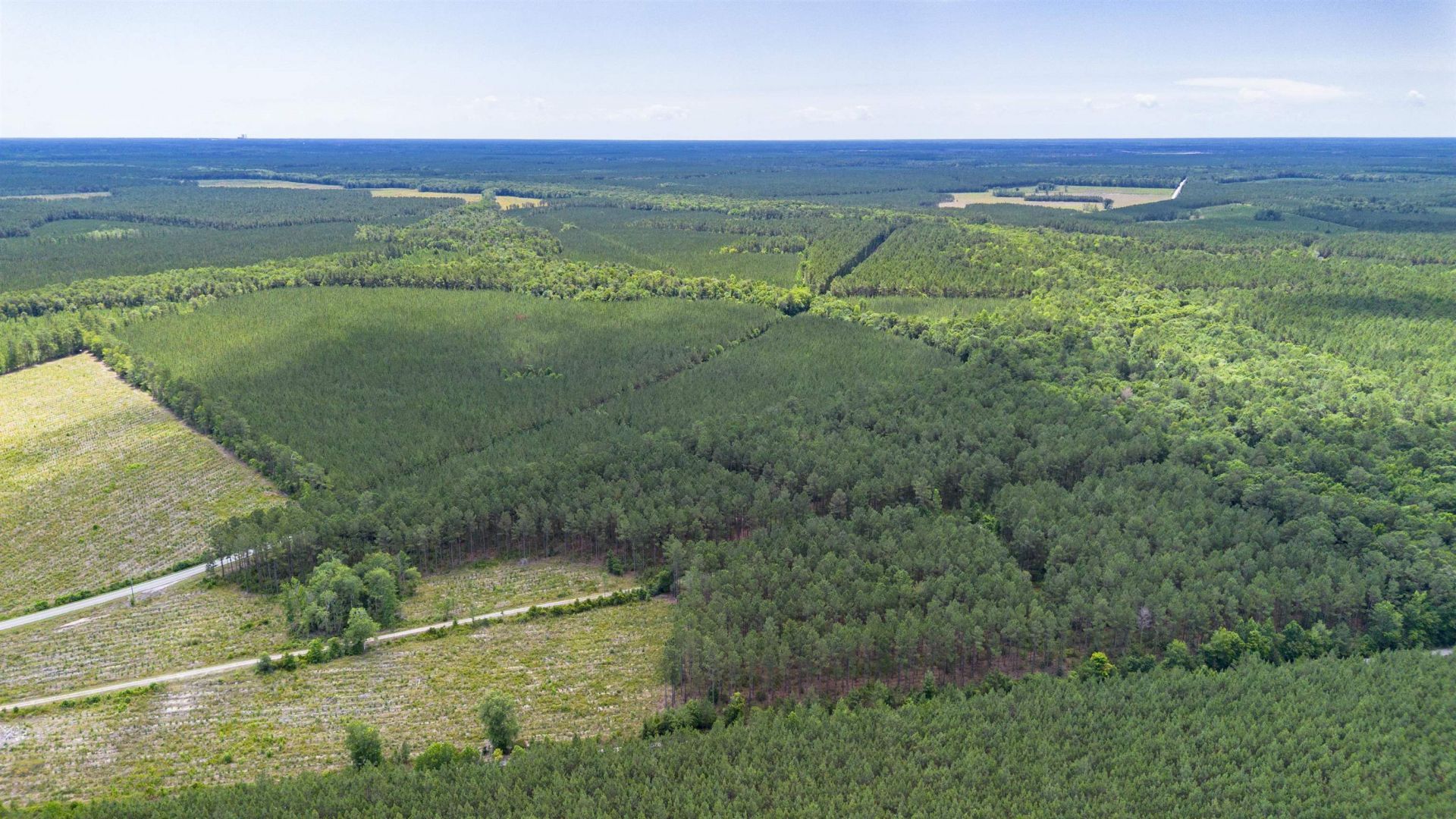 Tract A Ten Acre Rd.  Photo 4