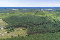 Tract A Ten Acre Rd.  photo 4