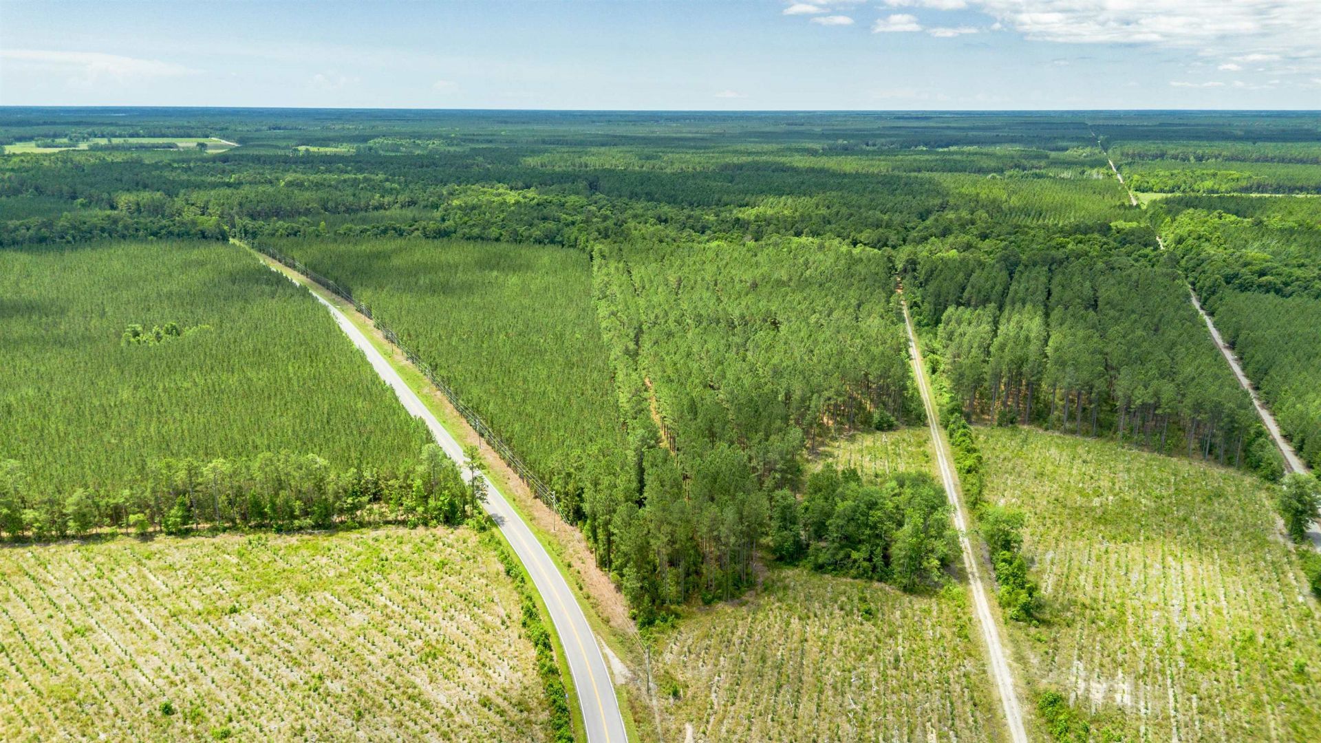 Tract A Ten Acre Rd.  Photo 5