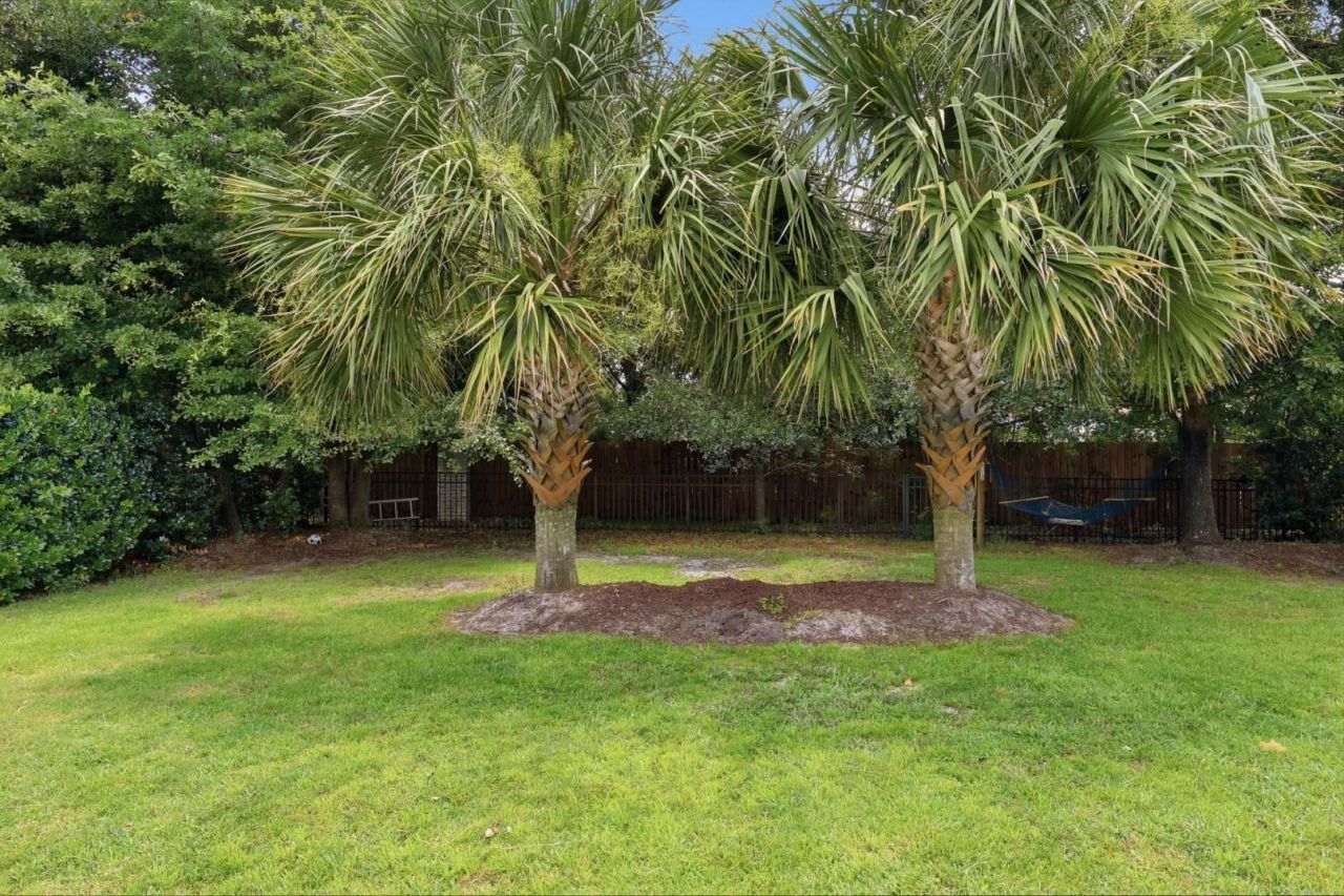 250 Cypress Creek Dr. Photo 49