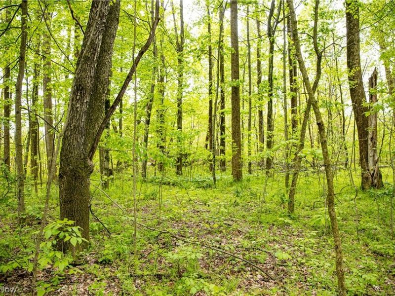 12025 Pleasant Valley Road, Frazeysburg, OH 43822 Photo 10
