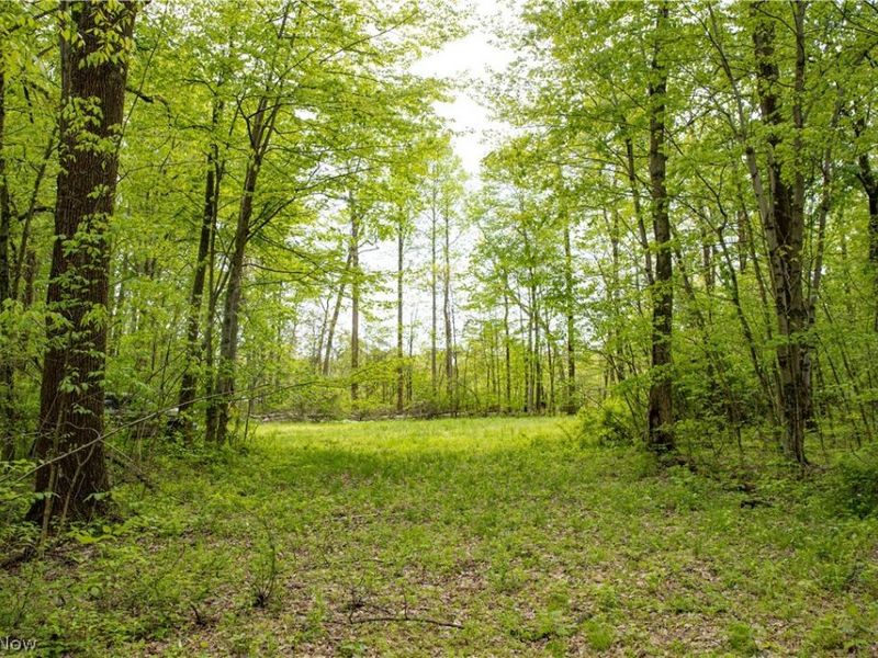 12025 Pleasant Valley Road, Frazeysburg, OH 43822 Photo 15