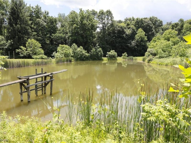 6721 Township Road 319, Millersburg, OH 44654 Photo 19
