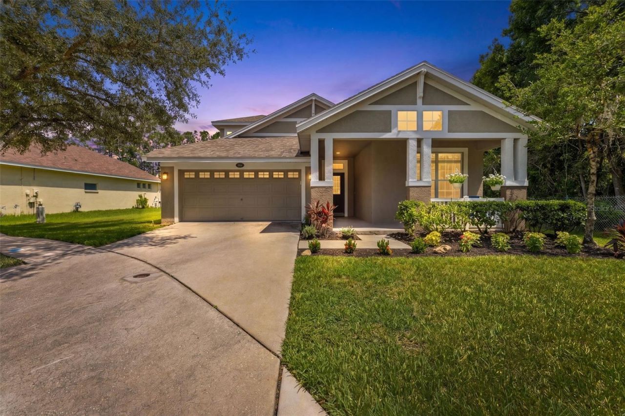 5154 Pheasant Woods Drive, Lutz, FL 33558 Main Photo