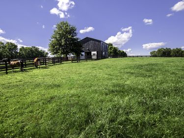 650 Delaney Ferry Road, Versailles, KY 40383