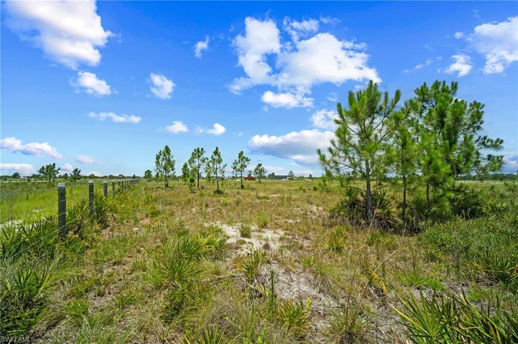 49021 Bermont Rd, Punta Gorda, FL 33982 Photo