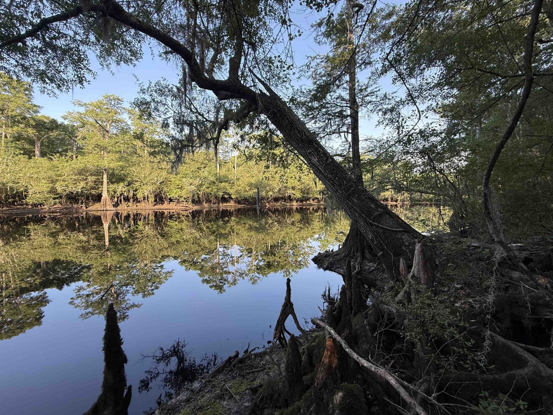 0.80 Acres-tbd Cantley Landing Rd.  Photo 10