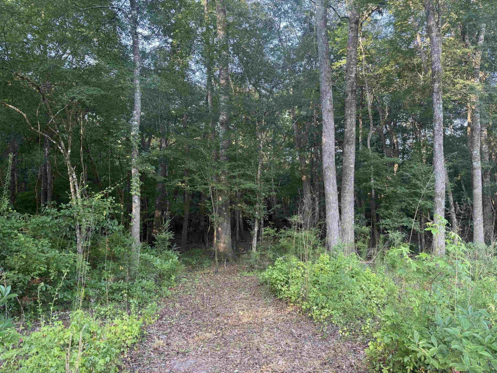 0.80 Acres-tbd Cantley Landing Rd.  Photo 12