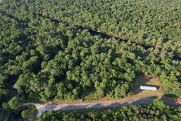 0.80 Acres-tbd Cantley Landing Rd.  photo 4