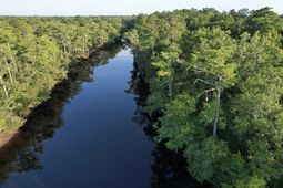 0.80 Acres-tbd Cantley Landing Rd.  photo 4