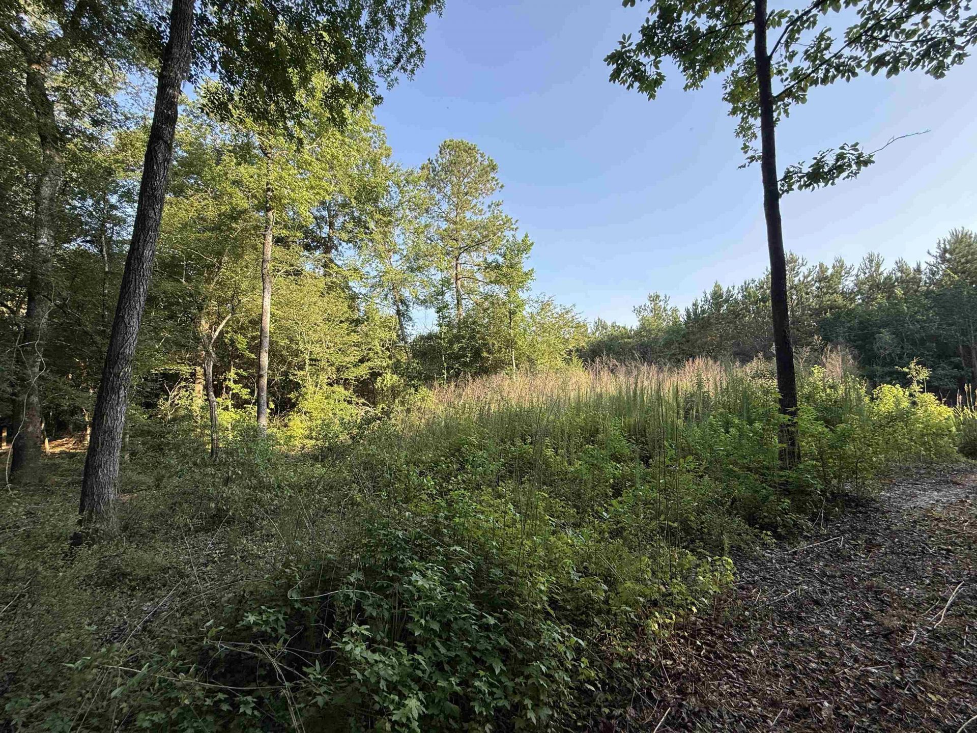 0.80 Acres-tbd Cantley Landing Rd.  Photo 8