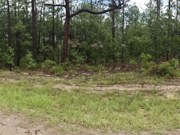00 SW 69 PLACE , OCALA, FL 34481