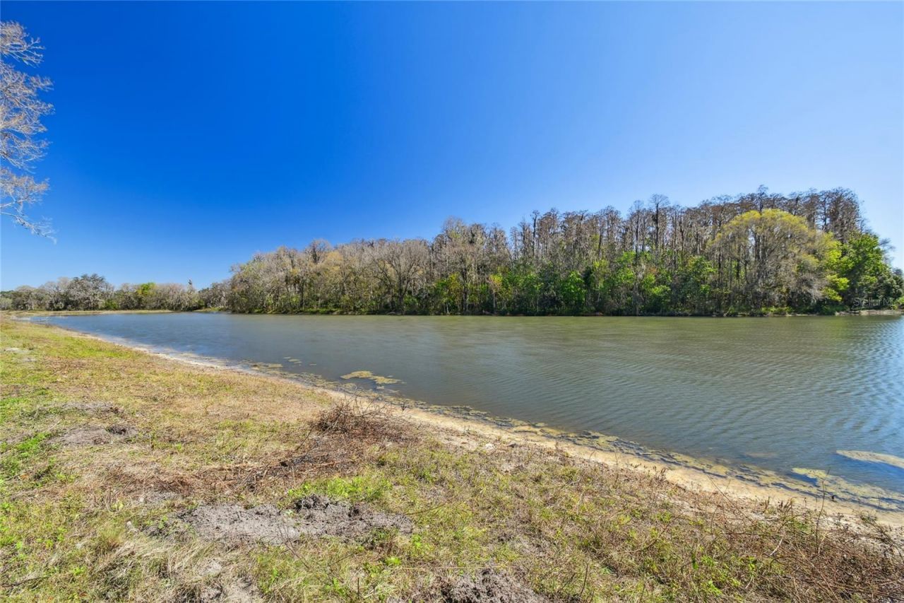 6644 Country Club Road, Wesley Chapel, FL 33544 Photo