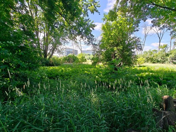 18 Westwood Circle , Hopkins, MN 55305
