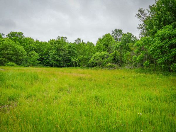 8183 W Lincoln Street, Bitely, MI 49309