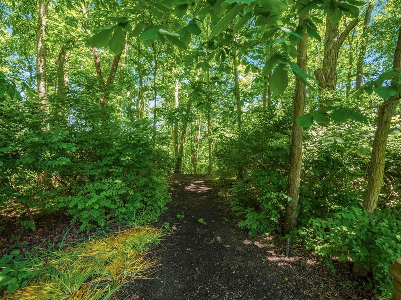 5500 Muirfield Court, Dublin, OH 43017 Photo 39