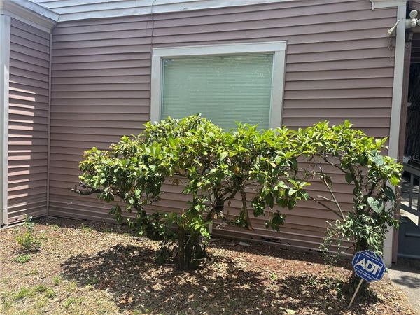 807 E OSBORNE AVENUE , TAMPA, FL 33603