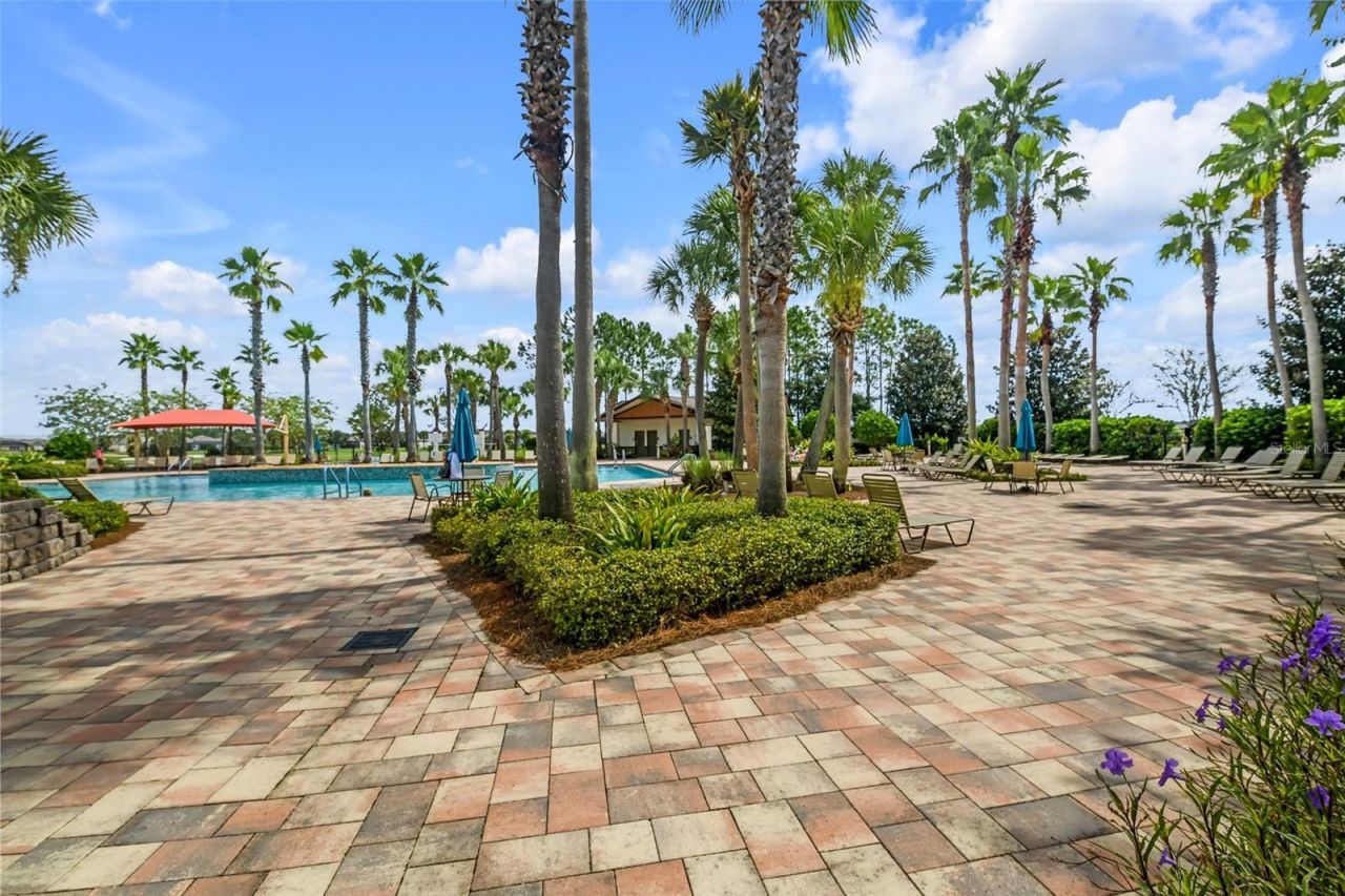 8348 SW 58th Loop , Ocala, FL 34481 Photo